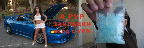 прущие грибы Лабытнанги
