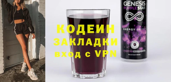 прущие грибы Лабытнанги