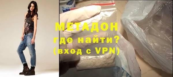 прущие грибы Лабытнанги