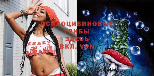 прущие грибы Лабытнанги