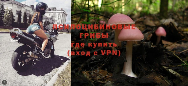 прущие грибы Лабытнанги