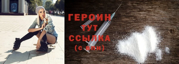 прущие грибы Лабытнанги
